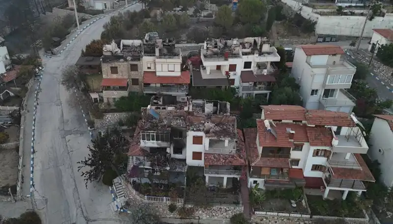 Orman Yangınları Neden Oldu? Evler ve Doğa Tehdit Altında