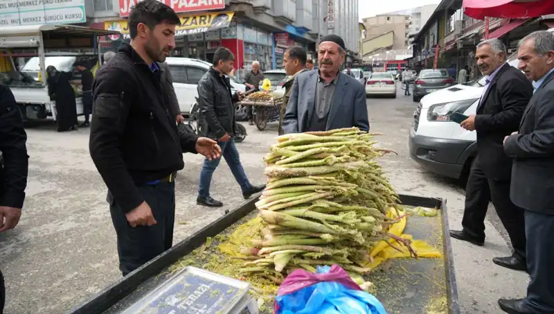 Dağlık Bölgelerde Yetişen Şekerin Mucizevi Faydaları