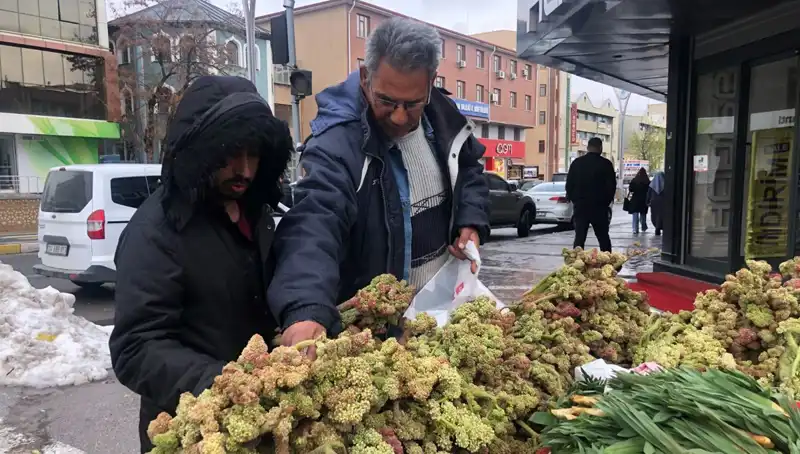 Kendiliğinden Yetişen Bu Bitki Kanserle Mücadelede Umut Vaadediyor!
