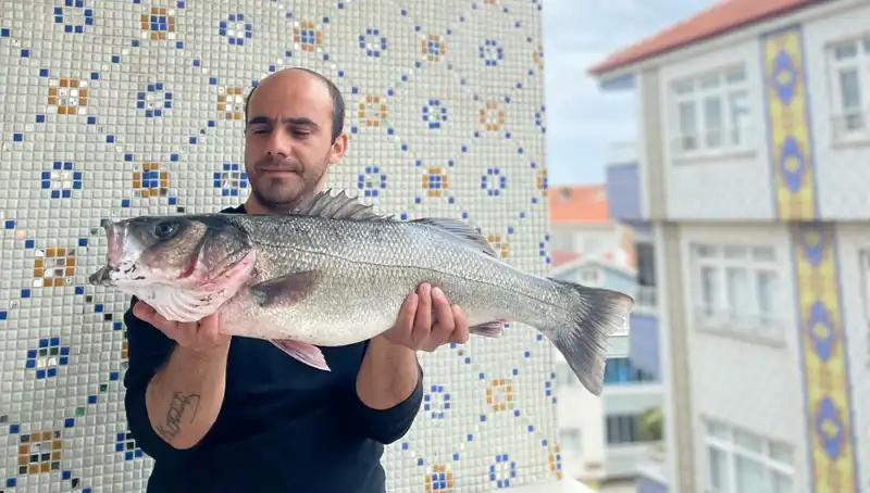 7,5 Kiloluk Dev Levrek: Balıkçılar İçin Bir Rekor Daha mı?