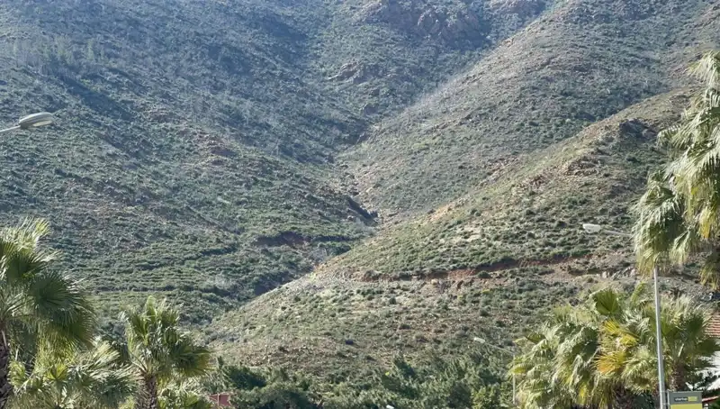 Marmaris Ormanları Yeniden Hayat Buldu: Fidanlar Boy Verdi