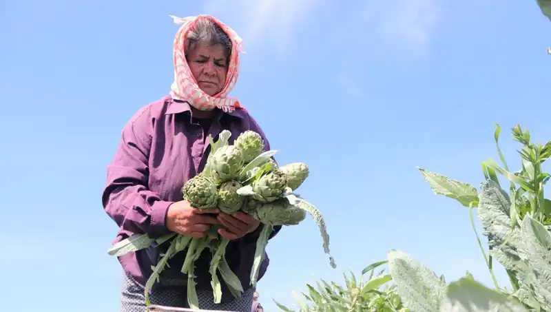 Tarladan Sofralara: Artan Tarım Ürünleri Fiyatlarının Sebepleri ve Çözümler
