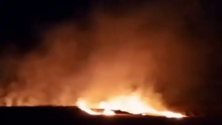 Tekirdağ’da Yürekleri Yakan Yangın: 20 Dekar Buğday Alanı Kül Oldu