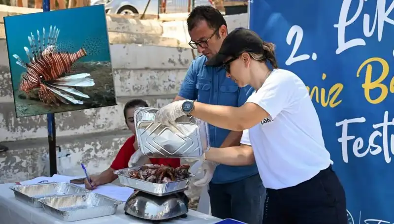 Antalya'da Heyecan Dolu İstilacı Aslan Balığı Avlama Yarışması Gerçekleşti