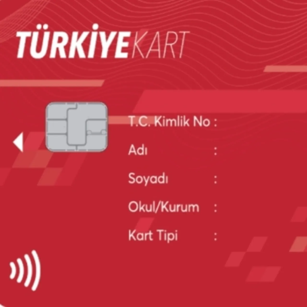 Türkiye Kart Nedir? Yeni Sosyal Yardım Uygulaması Hakkında Bilgiler