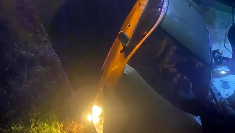 Adana’da Automobil Şarampole Devrildi: İki Kişi Yaralandı