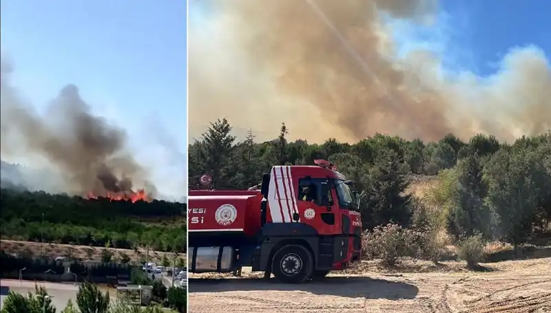Gebze’de Orman Yangını: Son Durum ve Alınan Önlemler