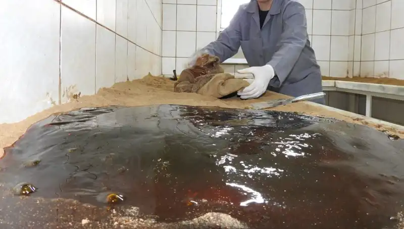 485 Yıldır Sürdürülen Gelenek: Baharat Duası Neden Önemli?