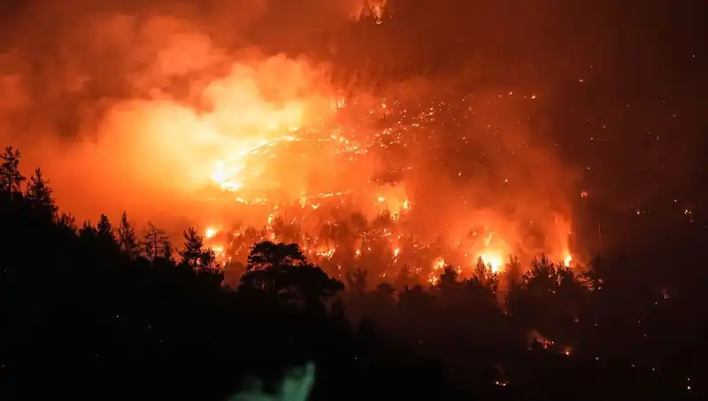 Bursa-Balıkesir Sınırındaki Orman Yangını Kontrol Altına Alındı, Ekipler Seferber Oldu