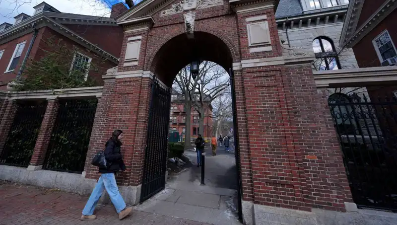 Harvard Profesörlerinden Trump Yönetimine Dava Açıldı: Yasal Savaş Başlıyor!