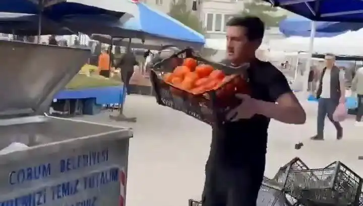 Domatesleri Çöpe Attığı İçin Pazarcıya Şok Para Cezası Kesildi