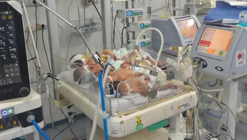 Gazzeli Doktorlar Çaresiz: Kuvözlerin Yetersizliğiyle Mücadele Ediyor