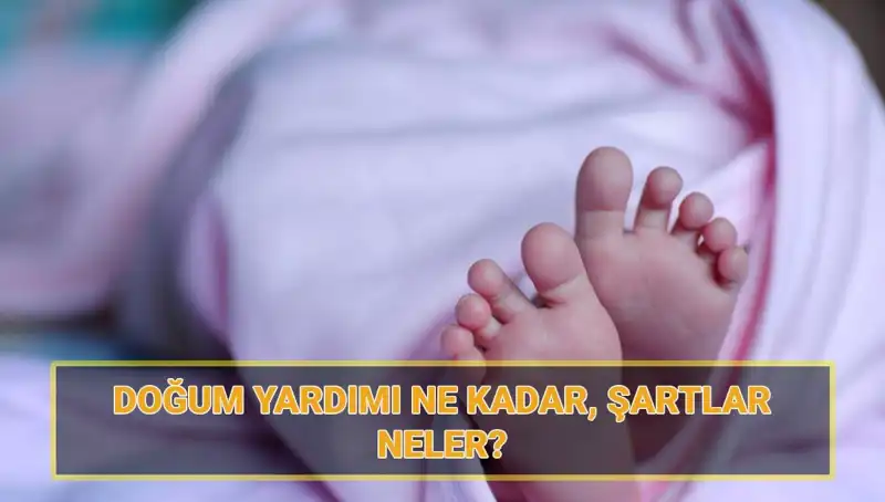 2025'te 5 Bin Lira Doğum Yardımı Başvurusu: İhtiyaç Sahipleri İçin Bilgi Rehberi