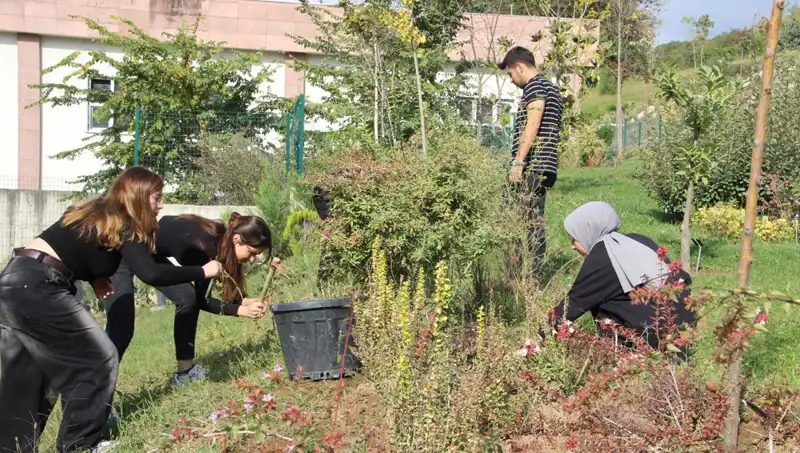 Düzce'den Dünyaya Açılan Kapı: Hayalden Gerçekliğe