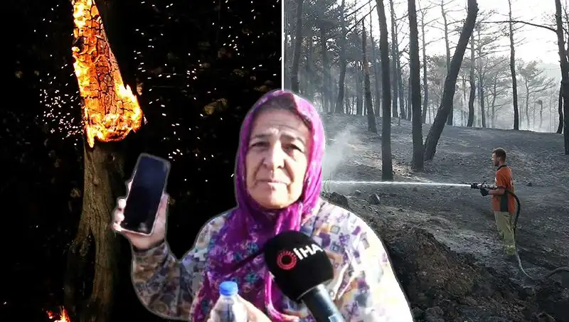 Çanakkale Orman Yangınları Kontrol Altına Alındı: Kayıp Kimliğin İzinde