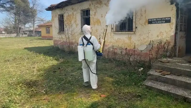 Çiftçilerin Kahverengi Kokarca Seferberliği: Tarımda Yeni Bir Tehdit
