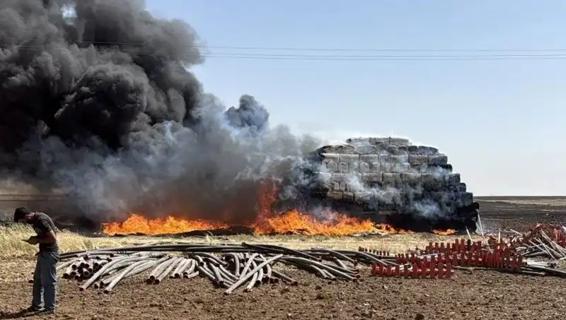 Mardin'de Yangın Korkusu: Anız Yangını Artık Kontrol Altında mı?
