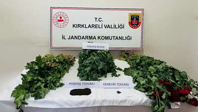 Kırklareli'nde Uyuşturucu Operasyonu: 8 Gözaltı, 3 Adreste Baskın