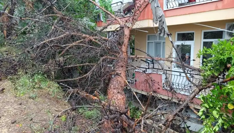 İki Katlı Bina Yağmura Dayanamadı, Ortalık Kayıtlarla Çalkalandı!