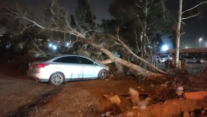 Hatay'da Şiddetli Fırtına: Tekneler Alabora, Ağaçlar Devrildi!