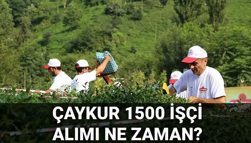 Çaykur İşçi Alımı Başvurusunda Son Gelişmeler ve Tarihler