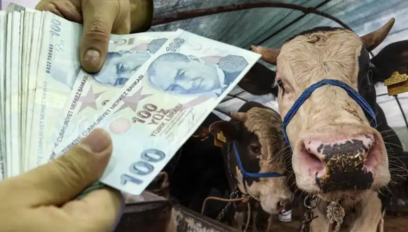 Memur ve Emekli Maaşları Bayram Öncesi Yatacak Mı? Yeni Açıklama Geldi!