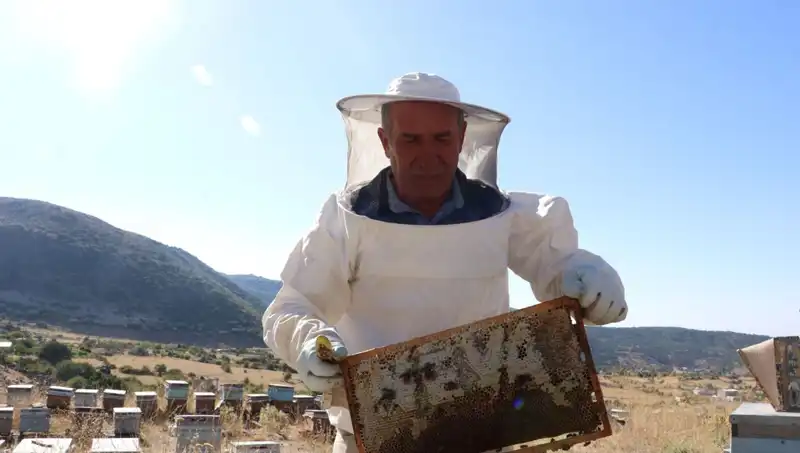25 Yıl Önce Mobilyayı Bıraktı, Bu Yıl 2 Ton Üretti: Başarı Dolu Bir Hikaye
