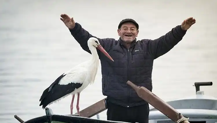 Yaren Leylek Geldi mi? Doğa Fotoğrafçısı Alper Tüydeş Yanıtlıyor!