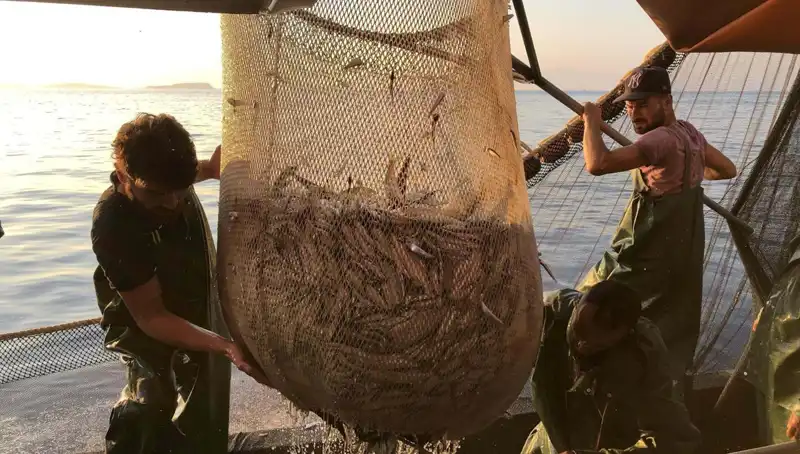 Balıkçılar Paydos Ediyor! İhlal Edenlere Sıkı Denetim ve Ceza Yağmuru