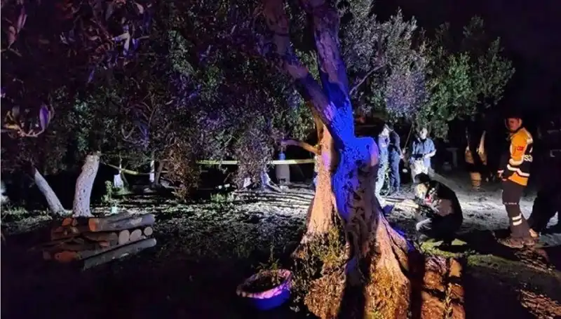 Çiftlikte Baltalı Vahşet: Bir Tutuklama ve Sıra Dışı Gelişmeler