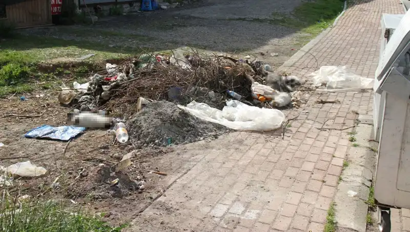 Antalya'da Şok Eden Kedi Ölümleri: Vahşetin Ardındaki Gerçek Ne?