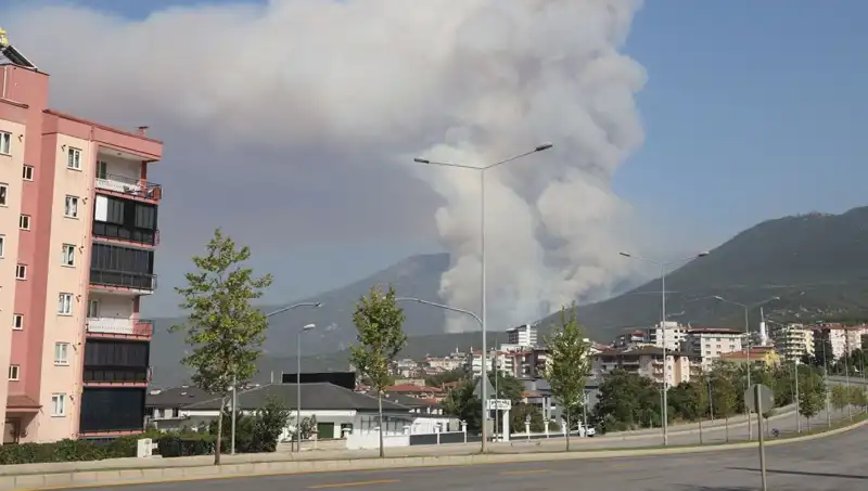 Denizli'de Orman Yangını: Bir Şüpheli Gözaltında, Korkutan Gelişmeler!