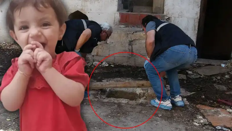 Cesedi Kuyuda Bulunan Aric'in Ölümü: Suçlular Kimler?