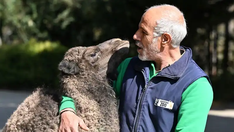 Boncuk'un Eşi Benzeri Yok: 4 Litre Sütle Büyüyen Anne Duyarlılığı